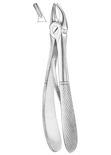 Extracting Forceps English Pattern