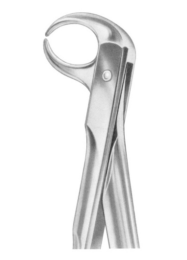 Extracting Forceps English Pattern