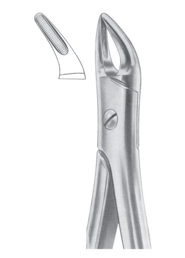 Extracting Forceps English Pattern