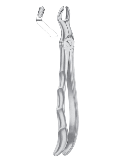 Extracting Forceps English Pattern