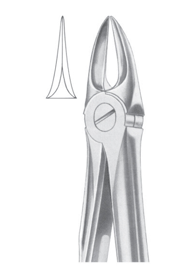 Extracting Forceps English Pattern